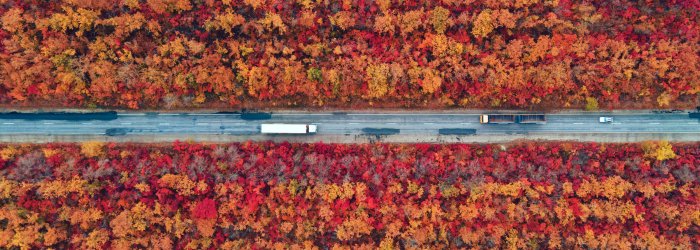 artyom-panfilov-ZPMLT_fpz9s-unsplash